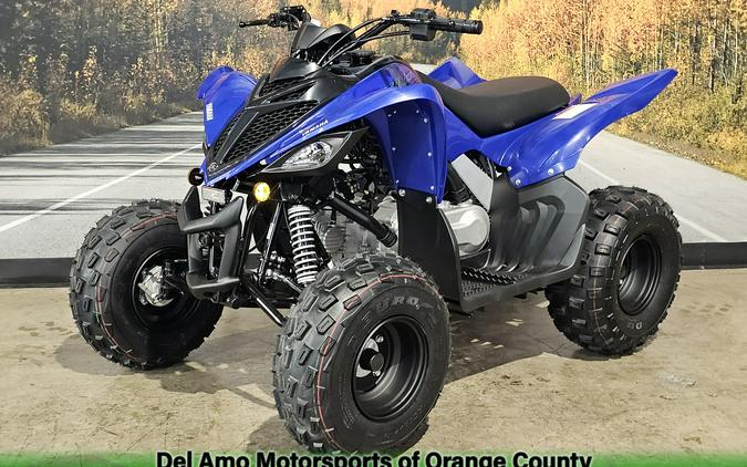 2025 Yamaha RAPTOR 110