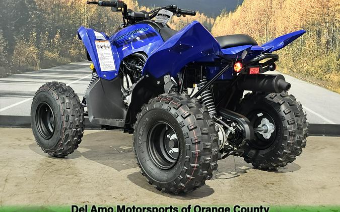 2025 Yamaha RAPTOR 110