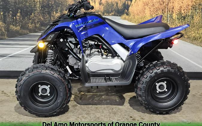 2025 Yamaha RAPTOR 110