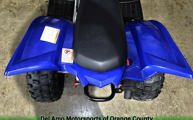 2025 Yamaha RAPTOR 110