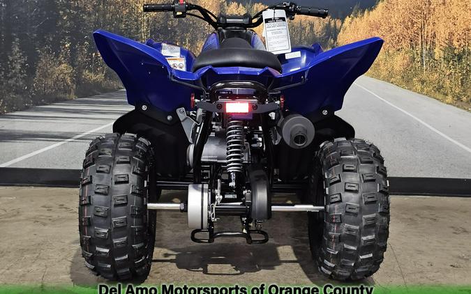 2025 Yamaha RAPTOR 110