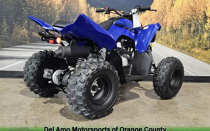 2025 Yamaha RAPTOR 110