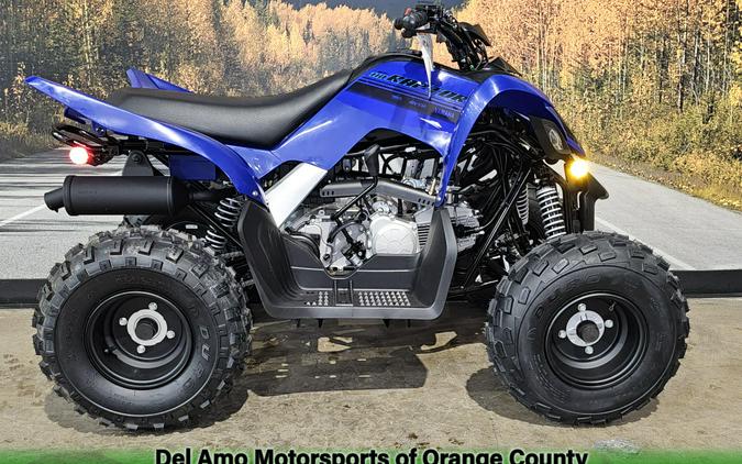 2025 Yamaha RAPTOR 110