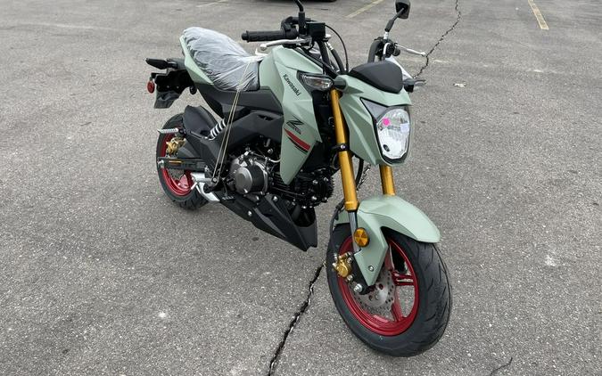 2023 Kawasaki Z125 PRO