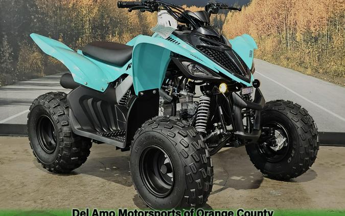 2025 Yamaha RAPTOR 110