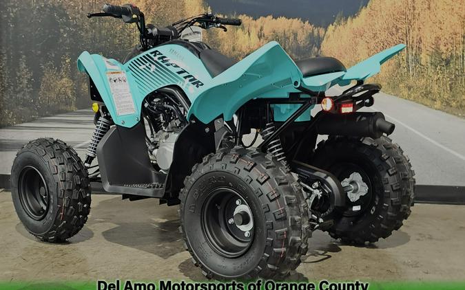 2025 Yamaha RAPTOR 110