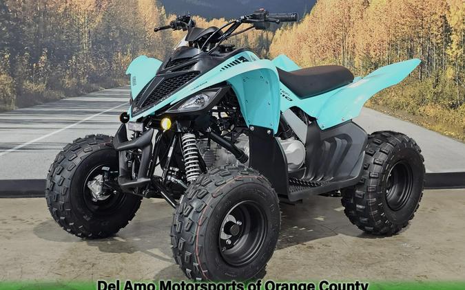 2025 Yamaha RAPTOR 110