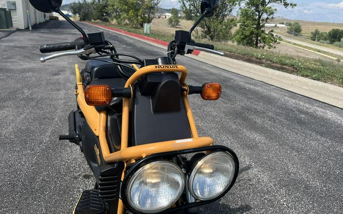 2005 Honda Big Ruckus
