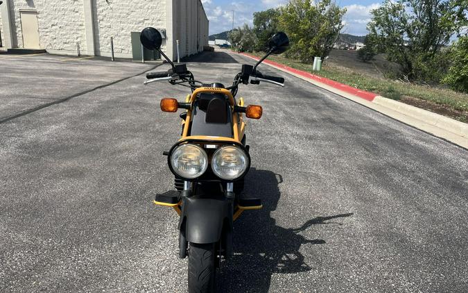 2005 Honda Big Ruckus