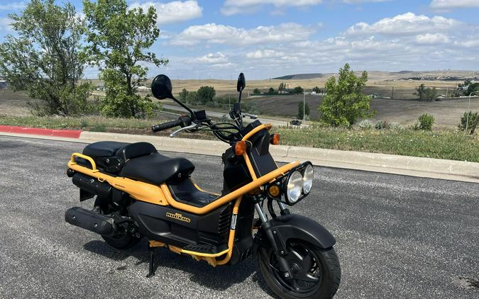 2005 Honda Big Ruckus