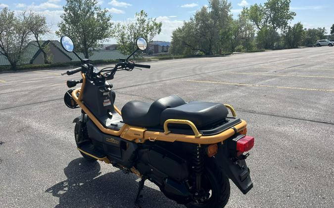 2005 Honda Big Ruckus