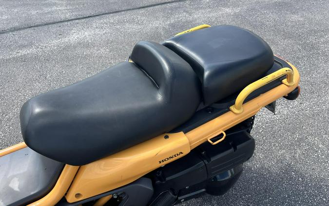 2005 Honda Big Ruckus