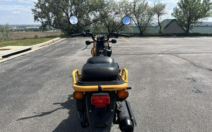 2005 Honda Big Ruckus