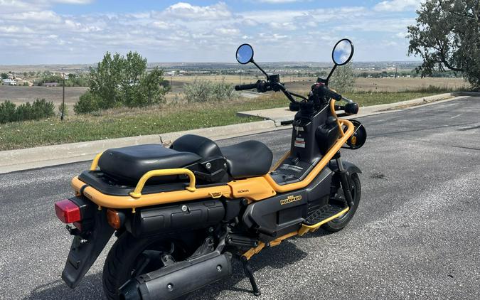 2005 Honda Big Ruckus