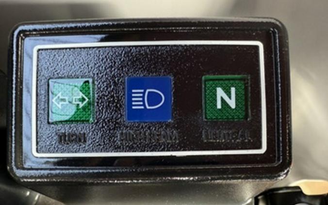 2025 Yamaha TW200S1C 200