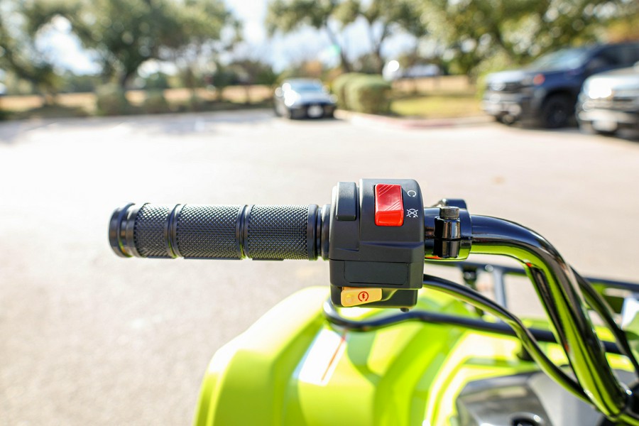 2026 YAMAHA GRIZZLY 110