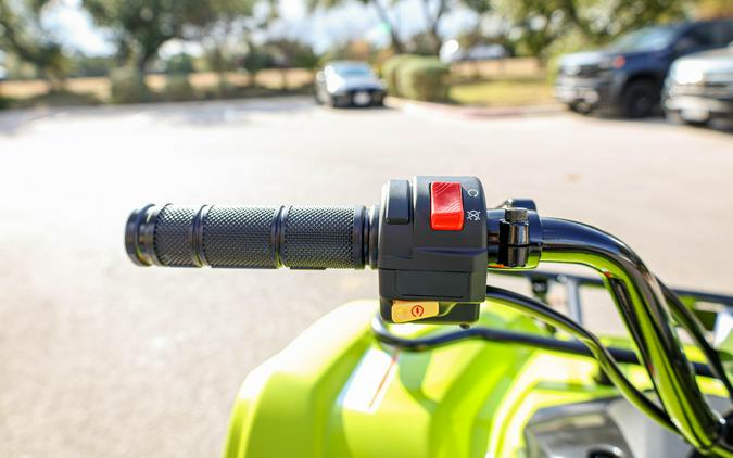 2026 YAMAHA GRIZZLY 110