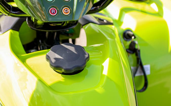 2026 YAMAHA GRIZZLY 110