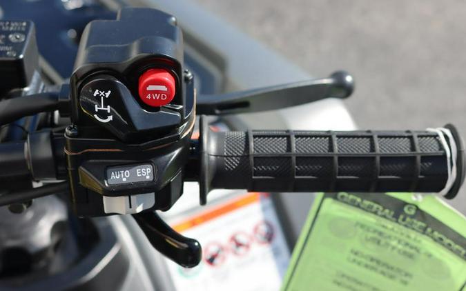 2026 Honda® FourTrax Foreman Rubicon 4x4 Automatic DCT EPS Deluxe