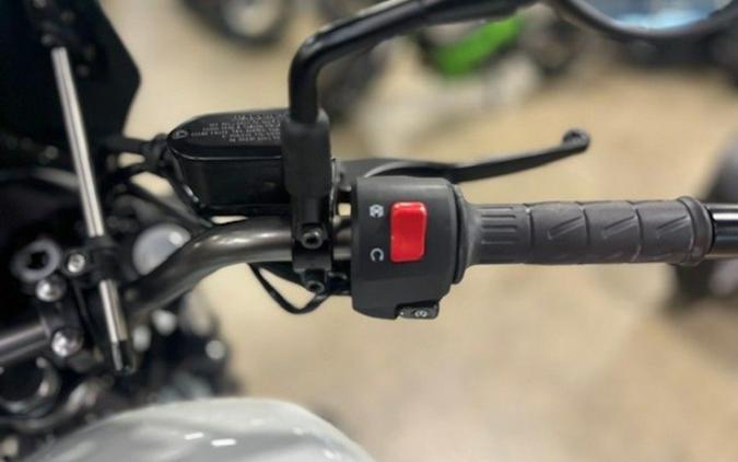 2024 Kawasaki Eliminator Pearl Robotic White Pearl Storm Gray