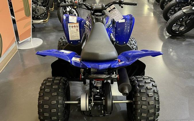 2026 Yamaha Raptor 110
