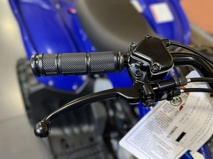 2026 Yamaha Raptor 110