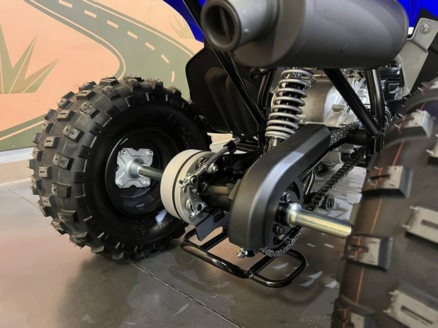 2026 Yamaha Raptor 110
