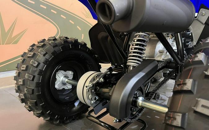2026 Yamaha Raptor 110