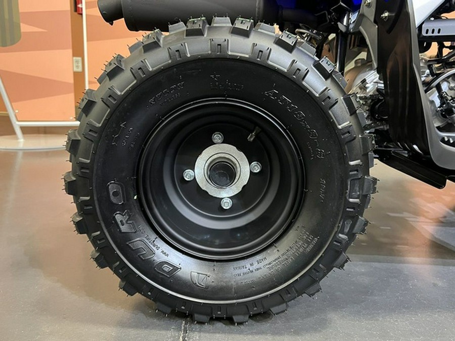 2026 Yamaha Raptor 110