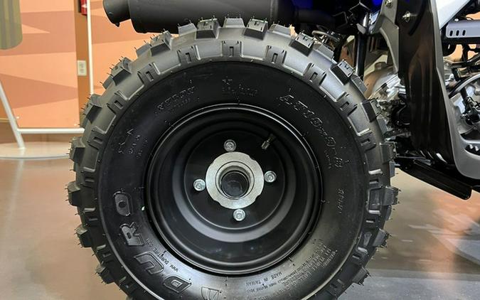 2026 Yamaha Raptor 110