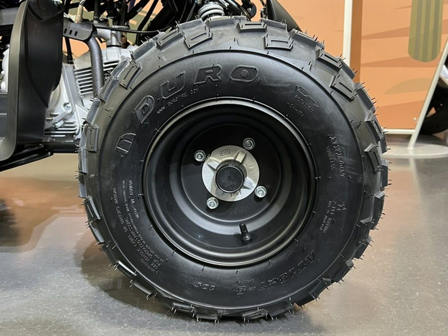 2026 Yamaha Raptor 110