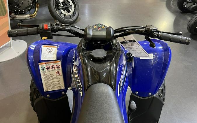 2026 Yamaha Raptor 110
