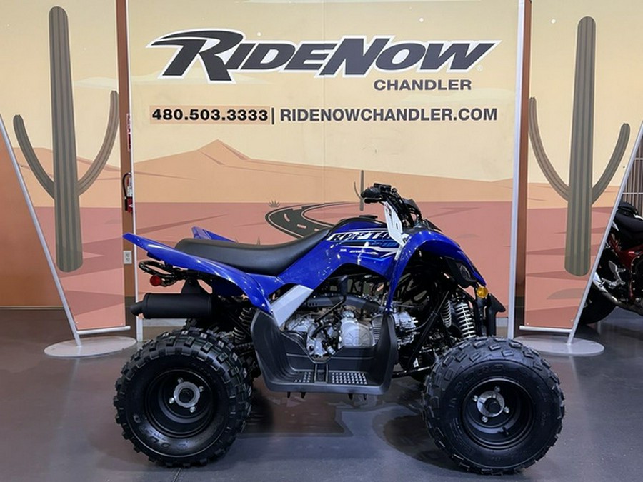 2026 Yamaha Raptor 110