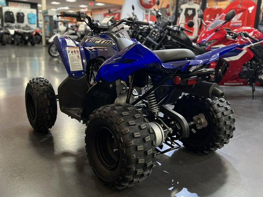 2026 Yamaha Raptor 110