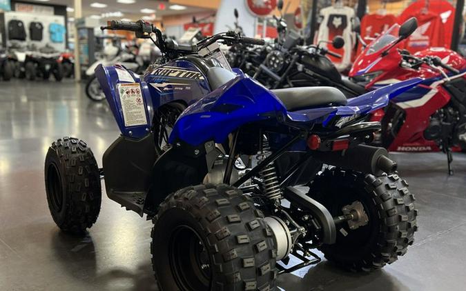 2026 Yamaha Raptor 110