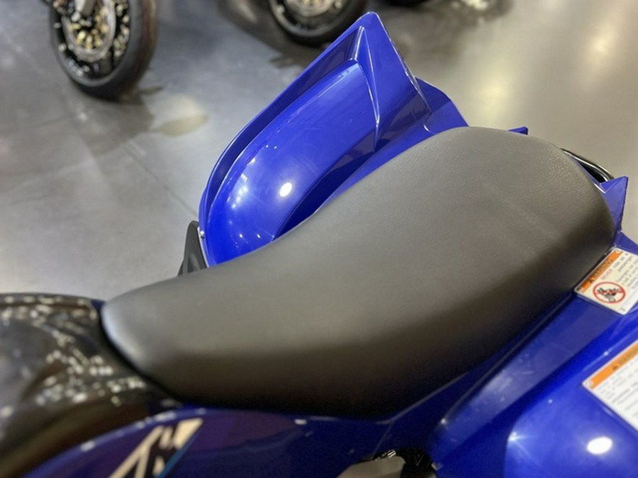 2026 Yamaha Raptor 110