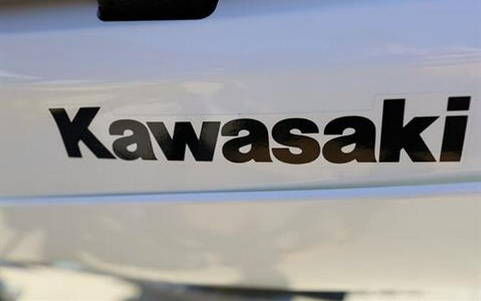 2026 Kawasaki KLX 230 S