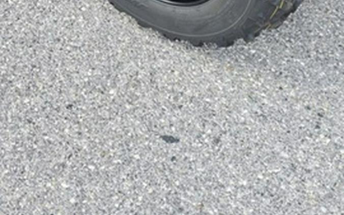 2026 Honda Pioneer 520