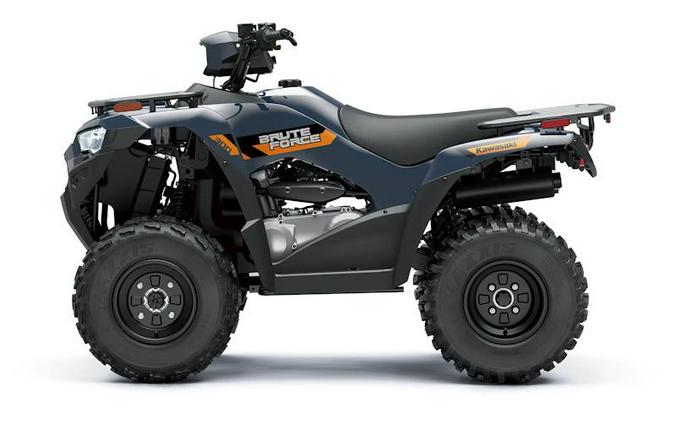 2026 Kawasaki Brute Force® 300