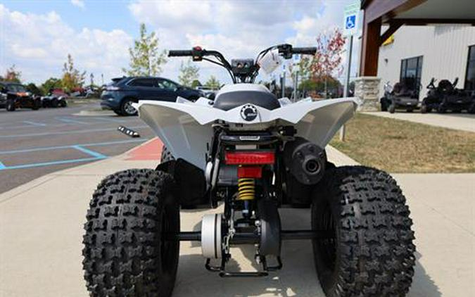2026 Can-Am Renegade 110 EFI