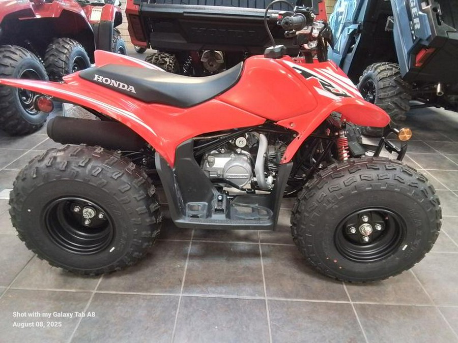 2025 Honda® TRX90X