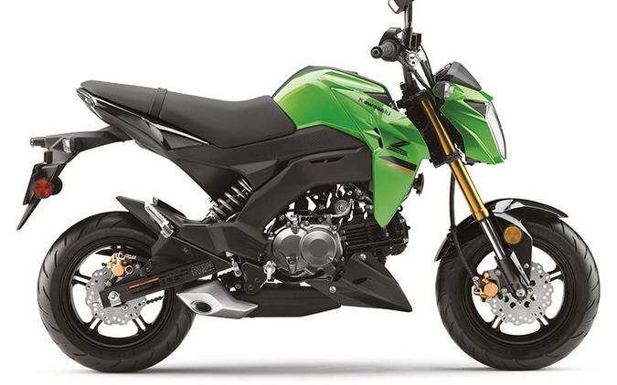 2024 Kawasaki Z125 Pro