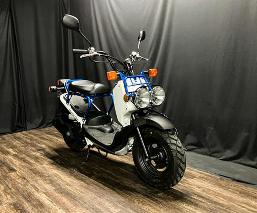 2022 Honda Ruckus