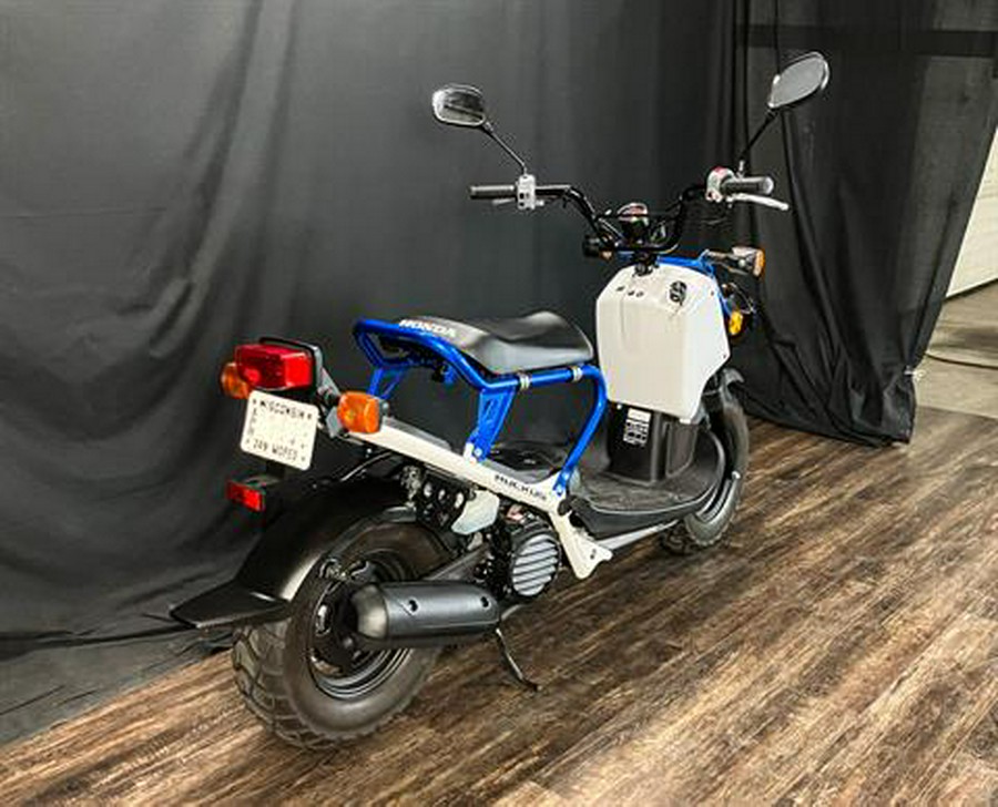 2022 Honda Ruckus