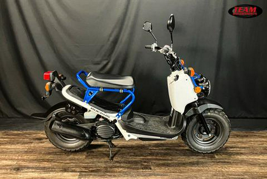 2022 Honda Ruckus