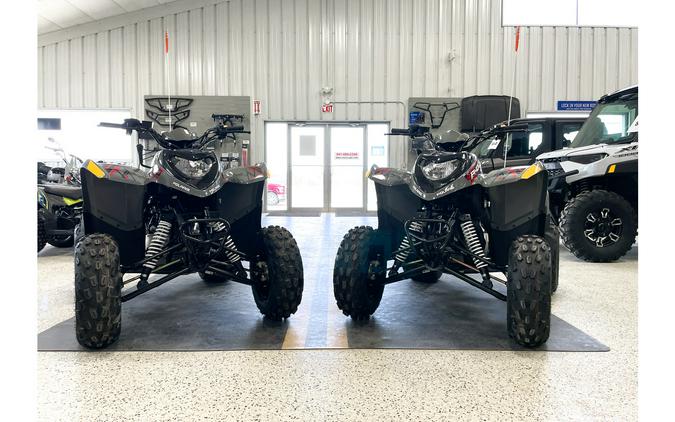 2023 Polaris Industries Phoenix 200 Avalanche Gray