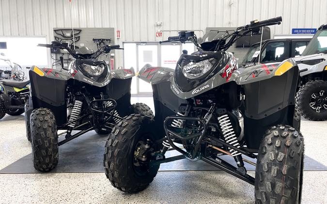 2023 Polaris Industries Phoenix 200 Avalanche Gray