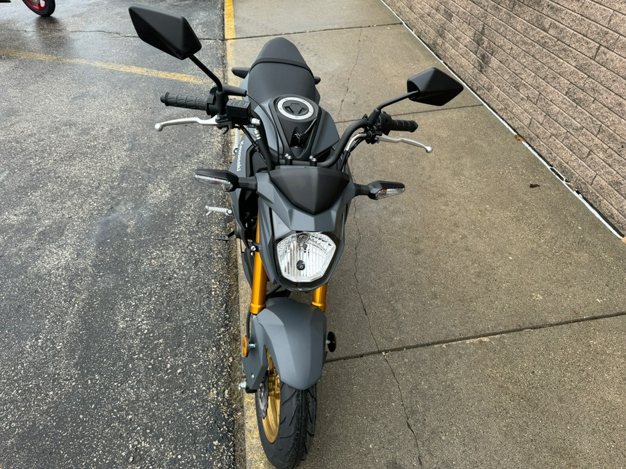 2024 Kawasaki Z125 Pro