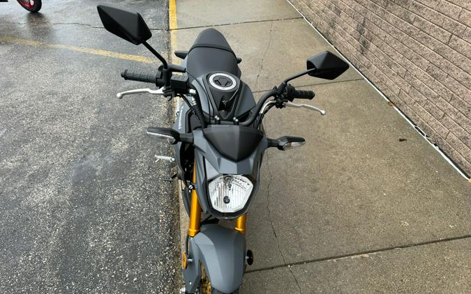 2024 Kawasaki Z125 Pro