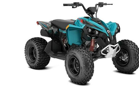 2026 Can-Am RENEGADE 110-4ST CALI